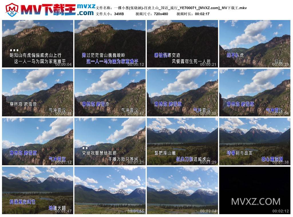 一棵小葱(张晓涵)-打虎上山_国语_流行_YE700071